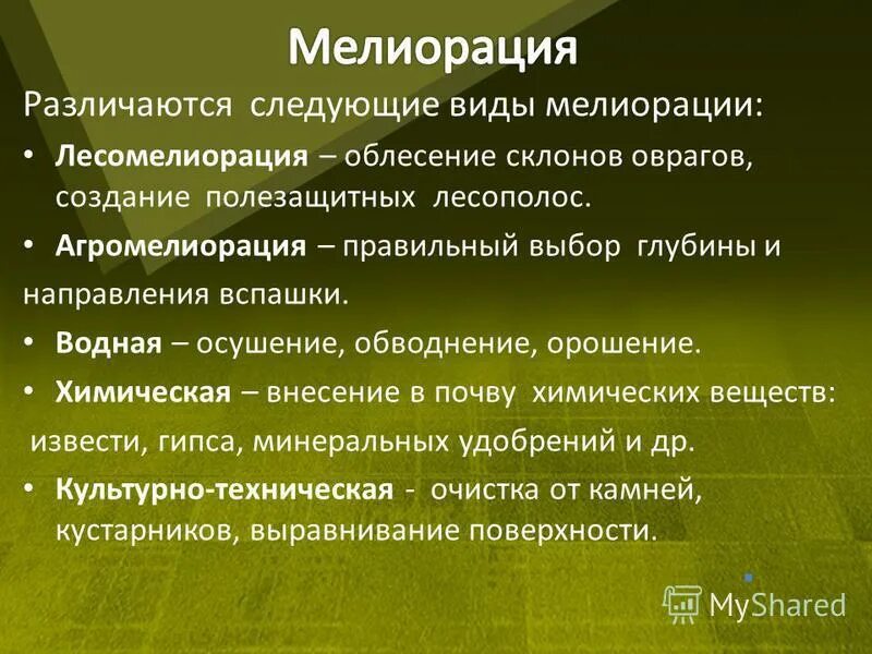 Какие из следующих высказываний верны создание полезащитных. Какие из следующих высказываний верны создание полезащитных