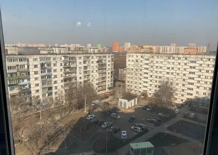 Щербинка садовая