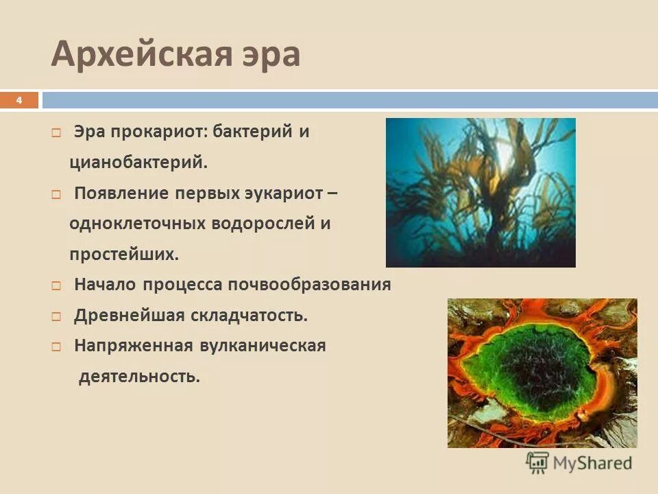 Появление одноклеточных водорослей. Цианобактерии архейской эры. Первые водоросли в архейскую эру. Одноклеточные водоросли архейской эры. Архейская Эра появление растений.