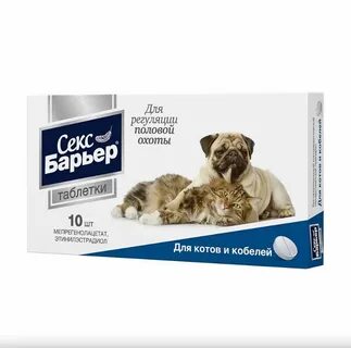 Барьер для кошек
