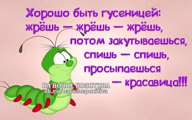Решам нет. Решам нет