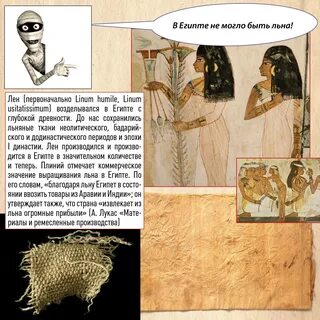Росло в египте