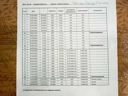 Получится?-6. 6. 