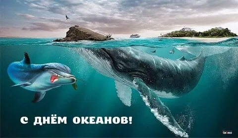 День океанов картинки