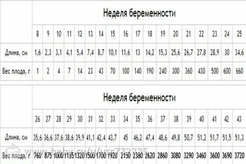 Копчико теменной размер в 13 недель