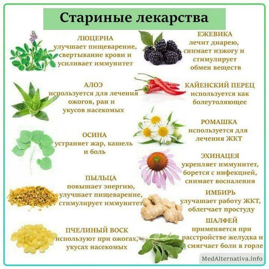Какие фрукты можно есть при кишечнике