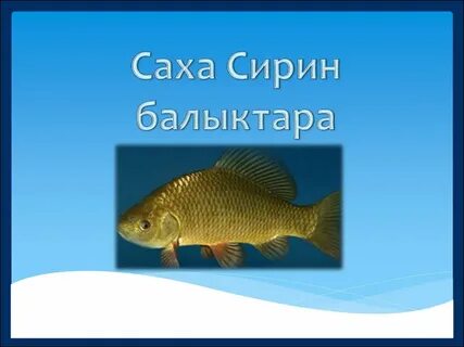 Сахам сирин