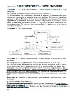 Среди приведенных утверждений подчеркните