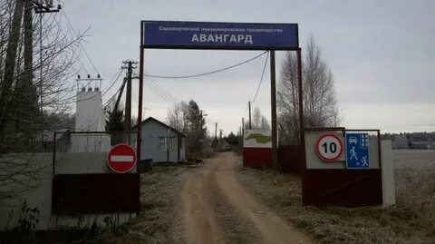 Снт авангард
