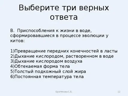 Как легкие приспособлены к выполнению своих функций