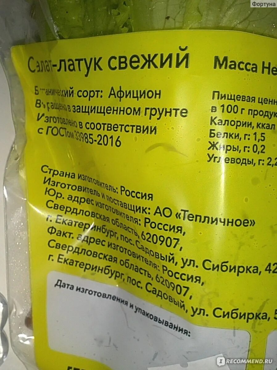 Салат калории. Лист салата калорийность на 100 грамм. Салат листовой калорийность. Калории в зеленом листе салата. Лист салата калорийность на 100 грамм.