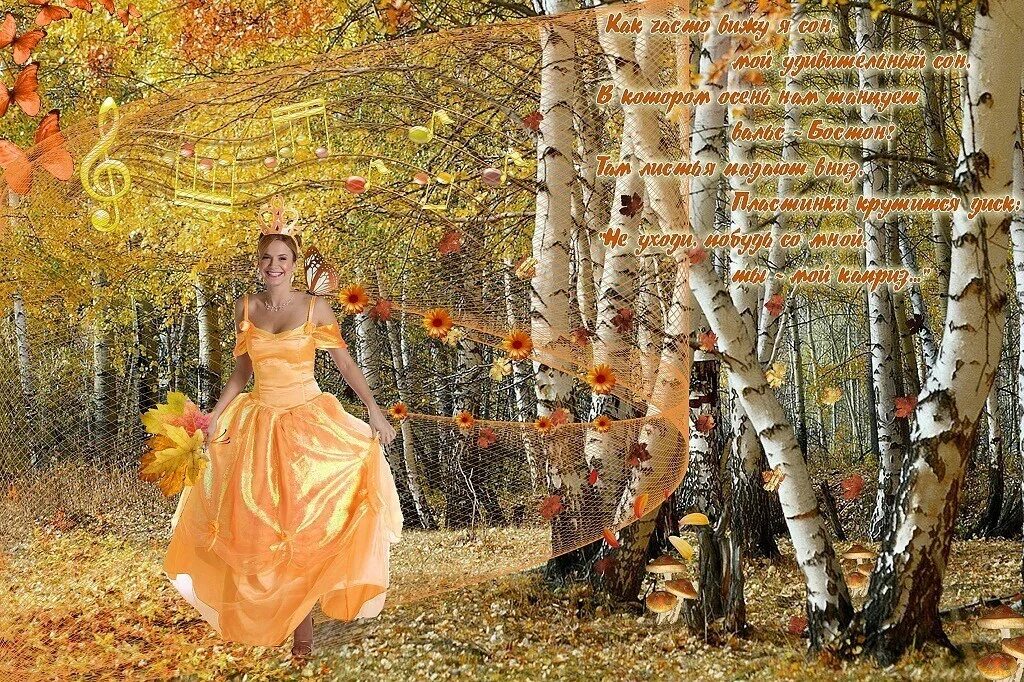 Вновь славный. Осень идет. Ах осень осень Золотая осень. Береза в осеннем наряде. Платье осеннего настроения.
