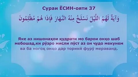 Сурая есин