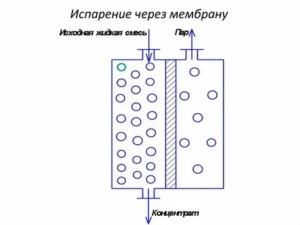 Мембранные 2 мембранные