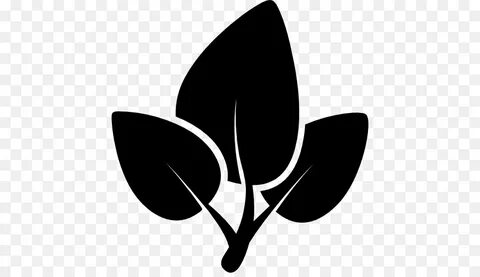 Other leaf