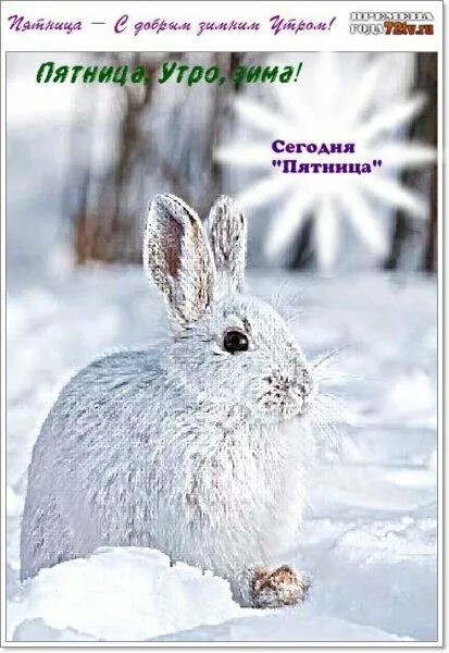 Пятничное зимнее утро. Доброе утро пятница зима. доброе февральское утро пятницы. с добрым утром пятницы зима. доброе утро пятницы зимой.