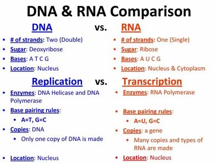 Types of comparatives