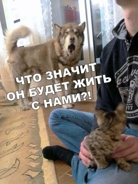 Быстро жизнь кончается. Жизнь закончилась. жизнь закончилась картинки. когда жизнь кончается. когда закончится жизнь.