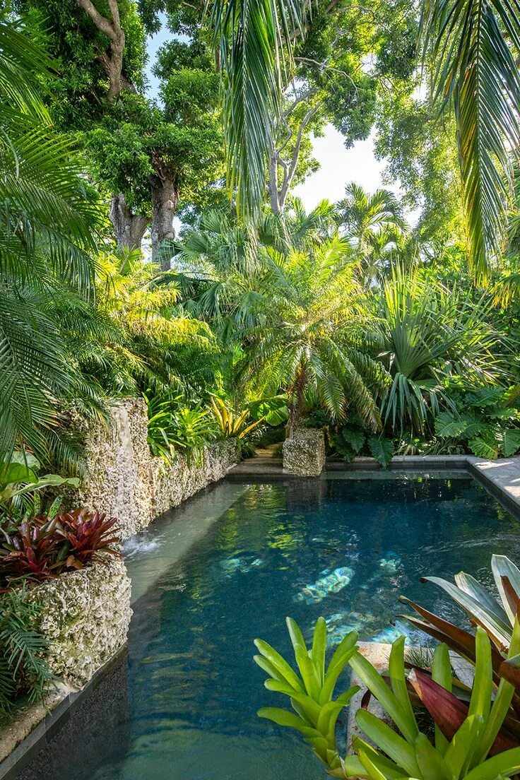 Tropical Garden Чакви. Бассейн в тропическом стиле. Сад в тропическом стиле. Тропический сад с бассейном.