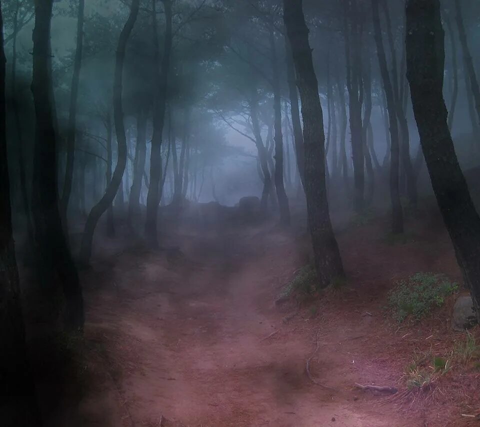 Orae. Группа сруб альбомы. Fog mp3. Violet fog yba. Fog mp3.