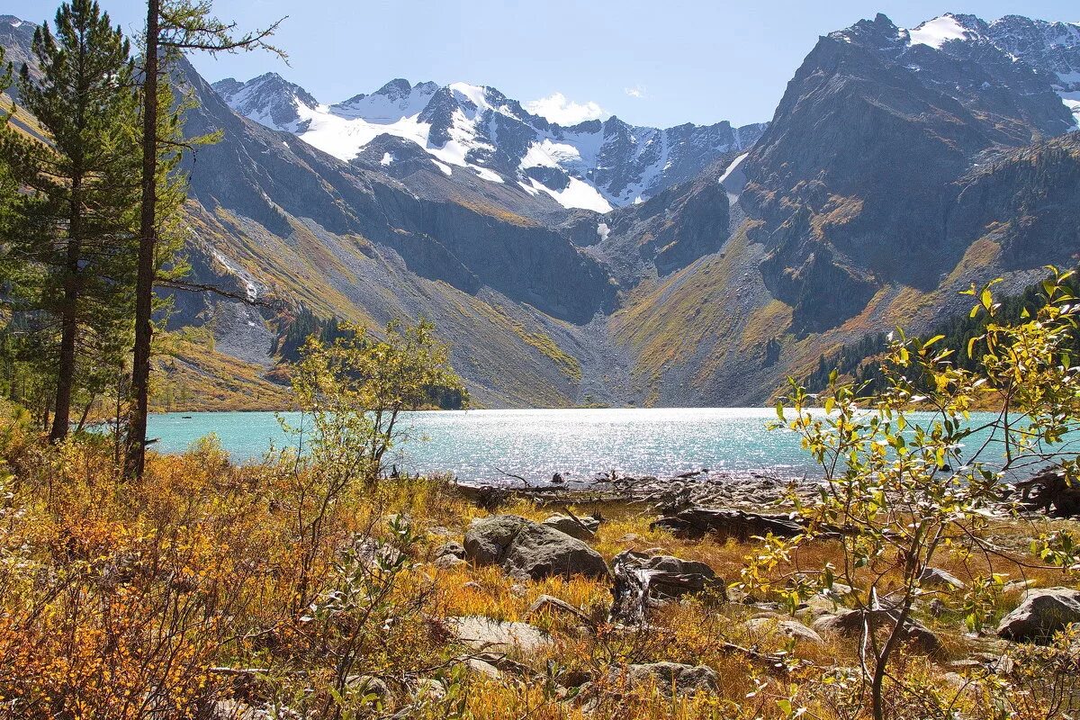 горный алтай мультинские озера. нижнее мультинское озеро алтай. катунский заповедник мультинские озера. мультинское озеро горный алтай. среднее мультинское озеро.