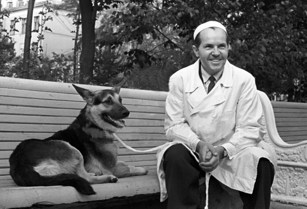 Владимир петрович демихов двухголовые собаки. Владимир демихов. Пересадка сердца собаке. Пересадка сердца собаке. Владимир демихов трансплантолог.