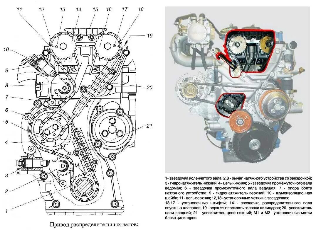 Схема меток ЗМЗ 406 инжектор. ГРМ двигателя ЗМЗ 409. Привод распределительных валов ЗМЗ 406. Метки двигателя ЗМЗ 406 инжектор.
