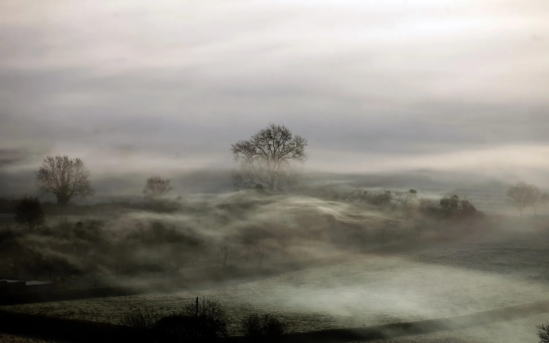 Fog map