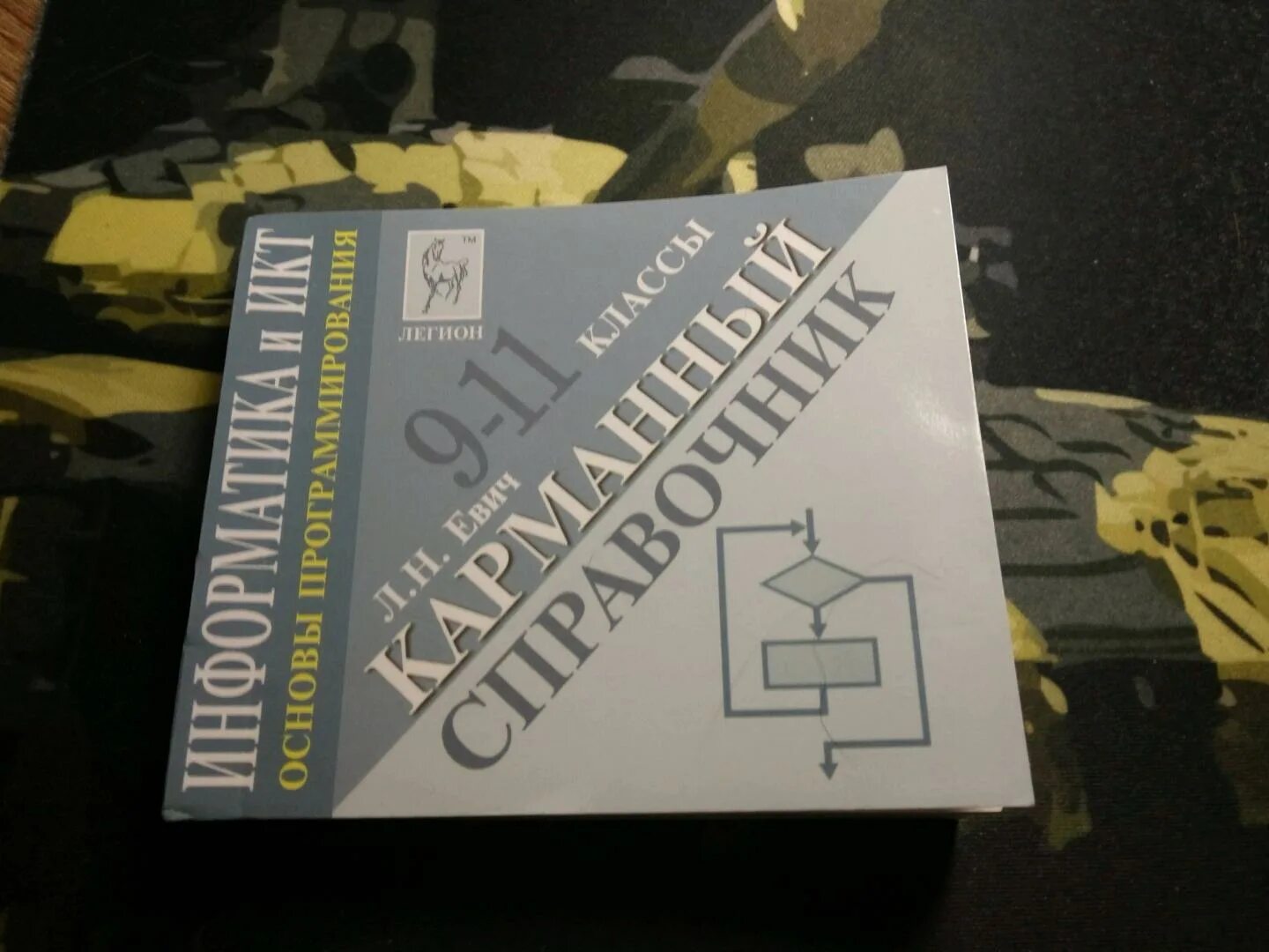 Евич информатика 2025