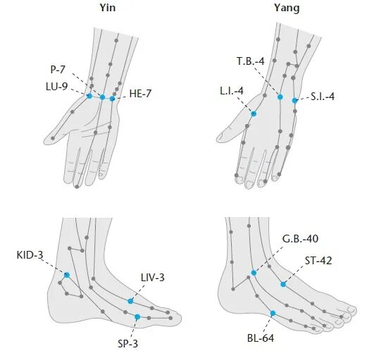 Глубинная зона. Монета dragon инь янь китайская. Юань бин янь актриса. Монета 5 фень кашгар. Японская красная печать книга.