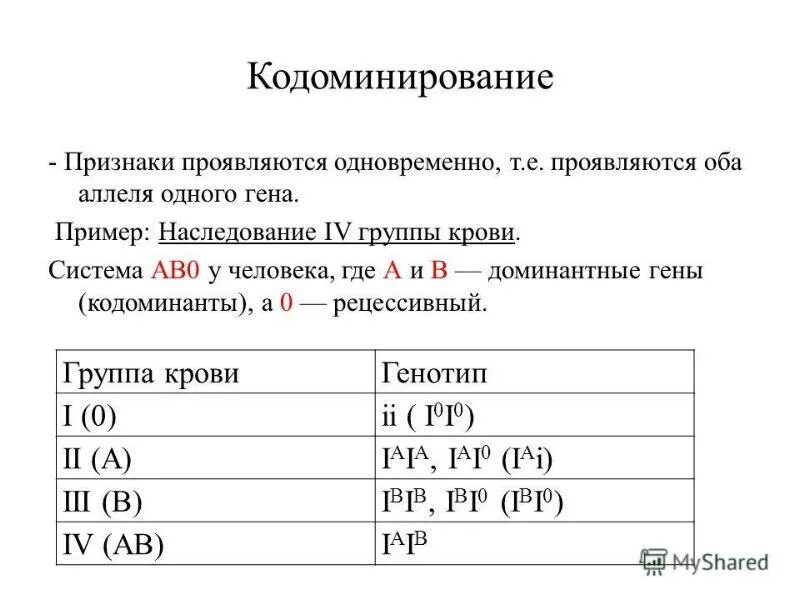 Кодоминирование группы крови