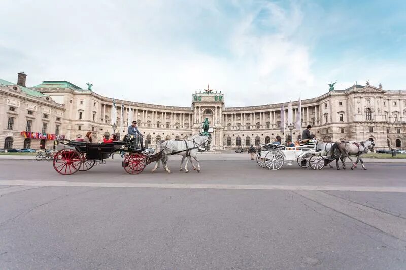 Два дня в вене. Лошади австрия хофбург. прогулка по старой вене. hofburg palace and heldenplatz. вена куда сходить.