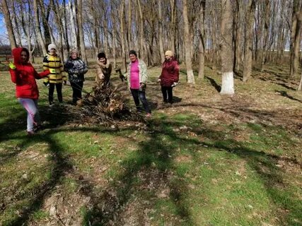 Погода в новоясенской краснодарский край староминский