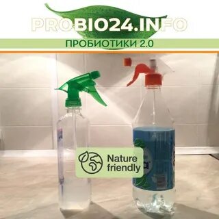 Bio 24