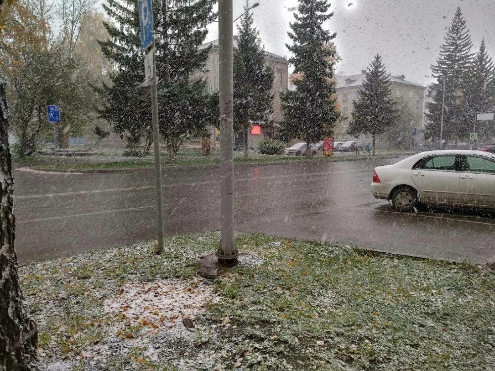 Где выпал снег в россии сегодня. Первый снег Бердск. Мокрый снег. Выпал снег. Снег с дождем.