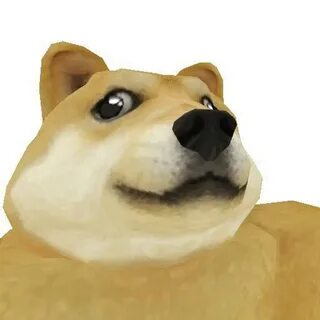T t t t face dog