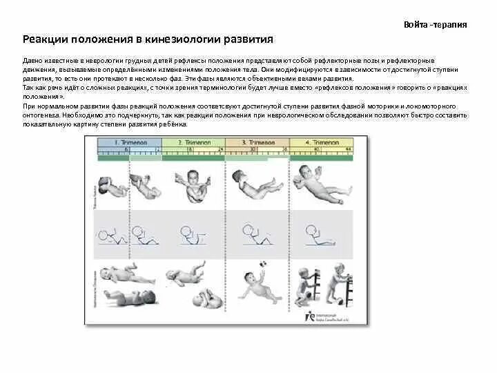 Войта терапия у детей что это. Войта терапия 1 положение. Методика Войта терапии этапы. Войта терапия зоны воздействия. Войта-терапия в раннем детском возрасте методические рекомендации.