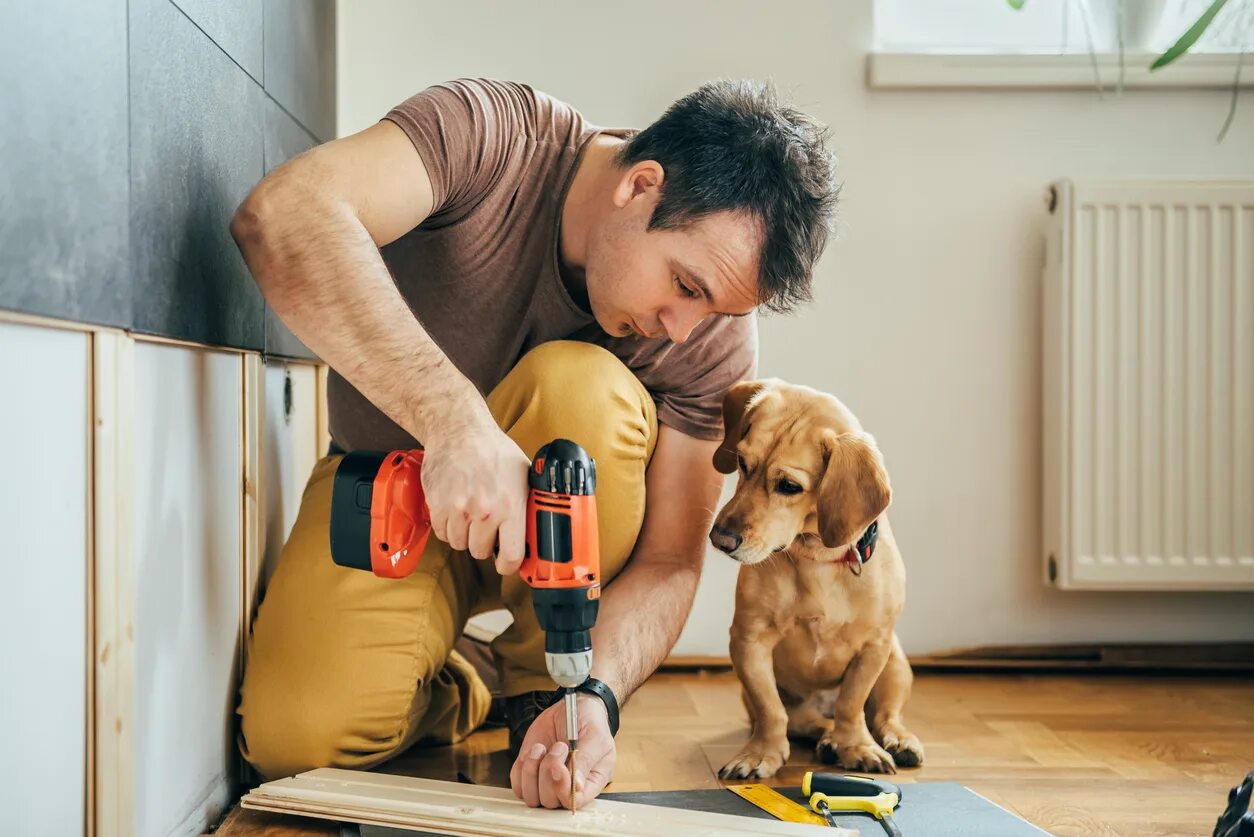 Having pets at home. Мужчина и домашние дела. Домашние животные и человек. Мужчина чинит. Дом животные.