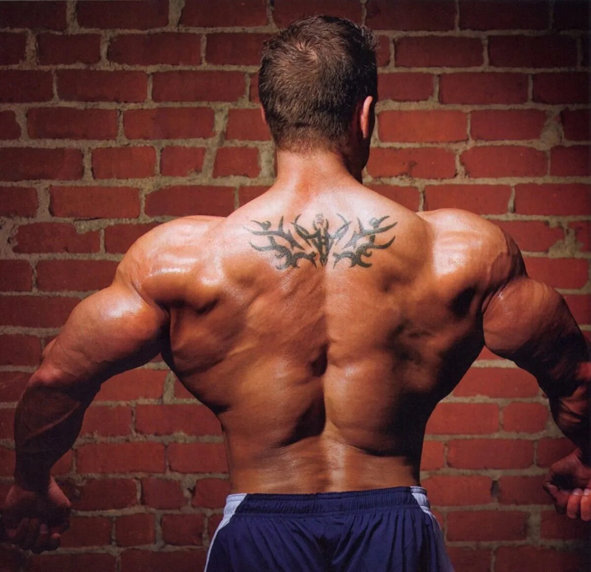 Джей катлер спина. Крылья мышцы. Крылья мышцы. Крылья спины мышцы спереди. Крылья у мужчин мышцы.