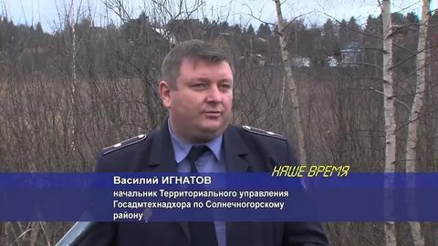 Налоговая солнечногорск