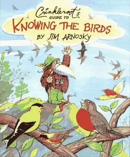 Knowing bird