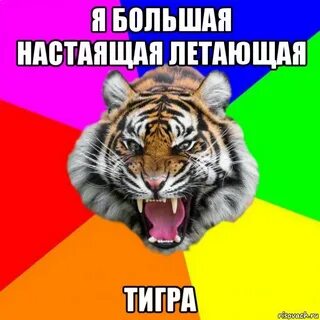 Тигр мем