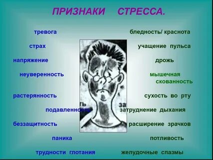 Перечислите признаки стресса