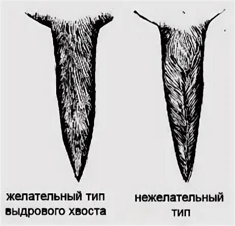 Хвосты железа