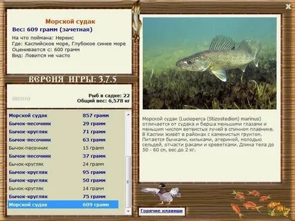 Судак отличия