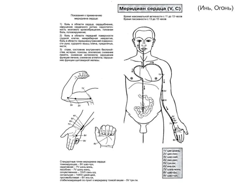 Меридиан сердца точки расположение и приемы 5.1.ТОПОГРАФИЯ МЕРИДИАНОВ И ТОЧЕК: Для нахождения мест расположения БАТ удобно п