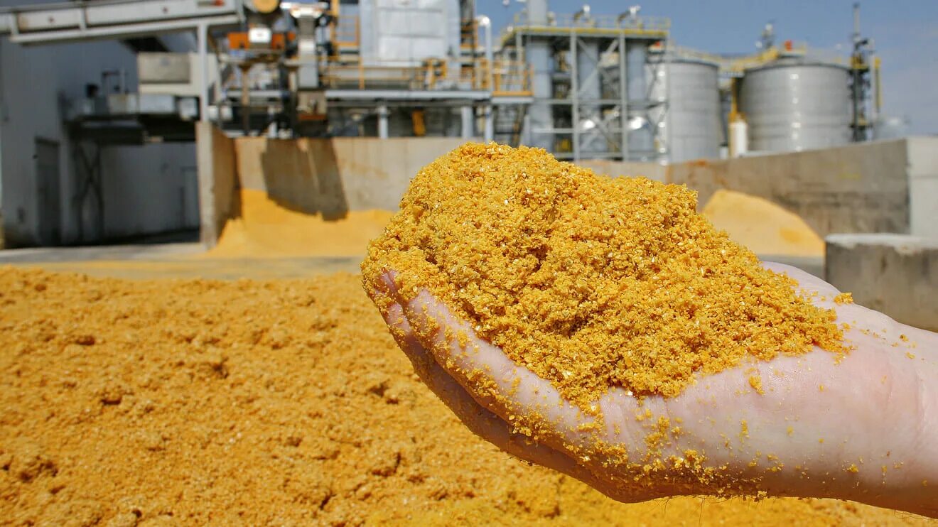 Мешок с углем для очистных сооружений. Самородная сера. Сортировка семян зерновых. Сера зерна. Пеллетированный кокосовый уголь.