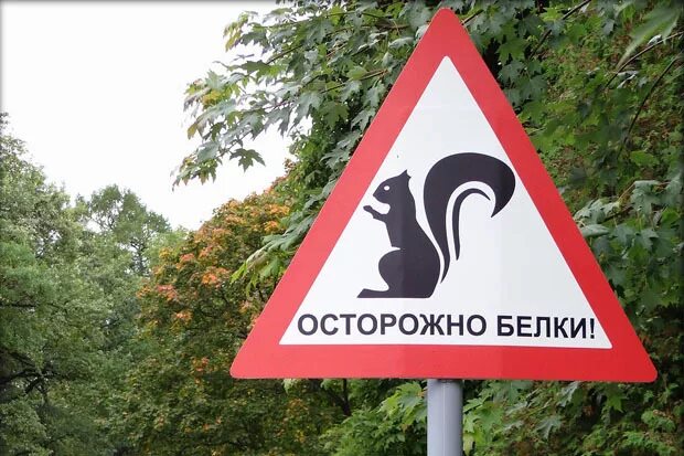 Вот такие знаки. Интересные знаки. Дорожные знаки с пояснениями и обозначениями для водителя. История дорожных знаков и сигналов. Смешные предупреждающие знаки.