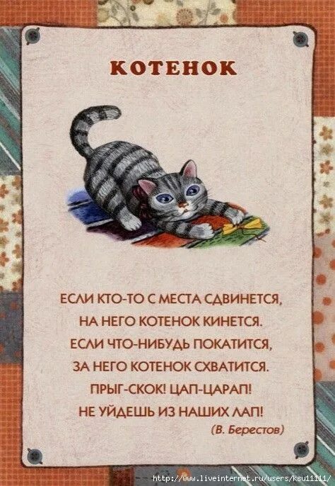 Котята. Стихи про котят. Котята. Стихи про котят. Стихи про котят.