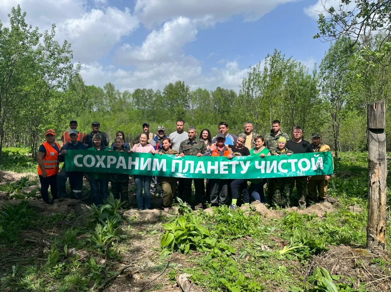 Департамент лесного комплекса кемеровской области. Вырубка лесов. Департамент лесного комплекса кузбасса качканова. Министерство лесного комплекса кузбасса. Лесной комплекс кузбасса.